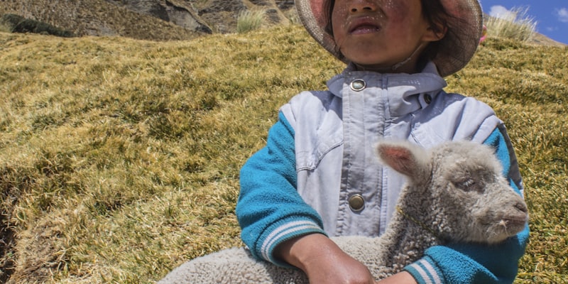 赏金大对决连胜排行榜展示图